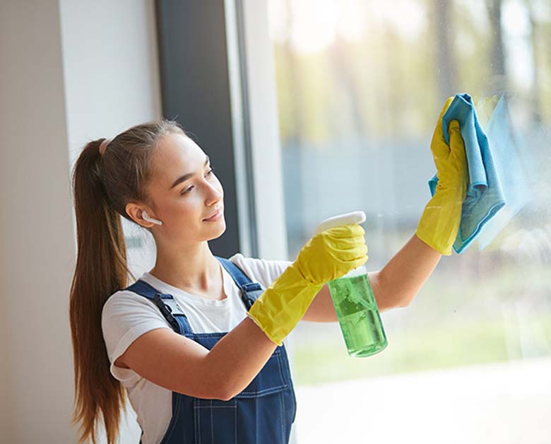 Window Cleaning